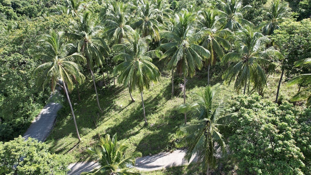Sea View Land For Sale Chaweng Noi – Land in Koh Samui (photo 4)