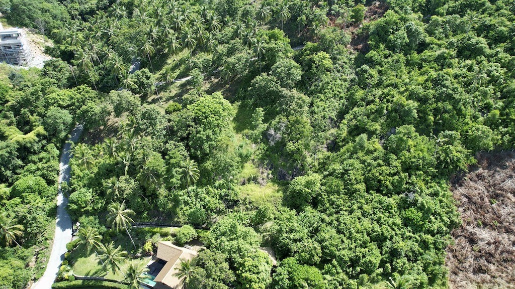 Sea View Land For Sale Chaweng Noi – Land in Koh Samui (photo 2)