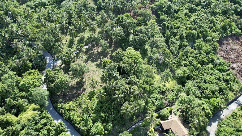 Sea View Land For Sale Chaweng Noi – Land in Koh Samui (photo 6)