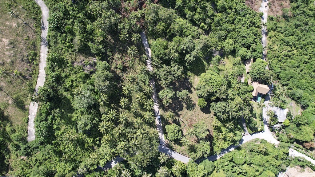 Sea View Land For Sale Chaweng Noi – Land in Koh Samui (photo 3)