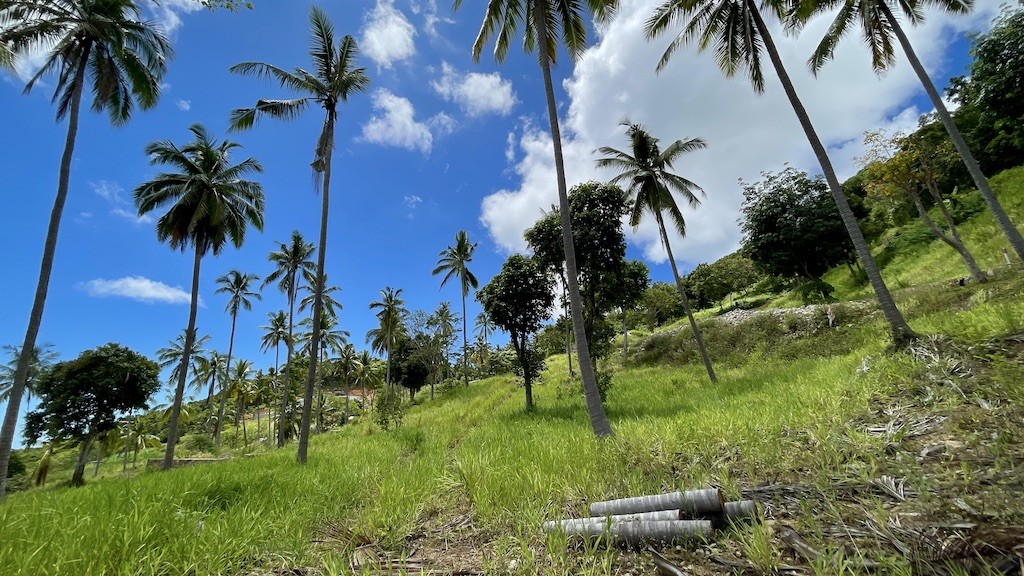 Sea View Land On Koh Samui Slope