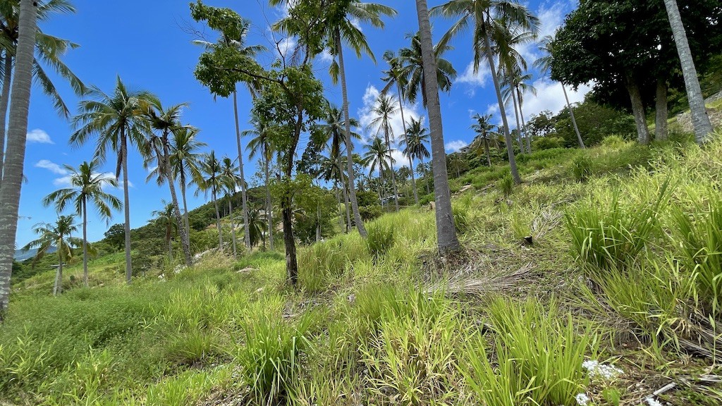Sea View Land On Koh Samui Contour