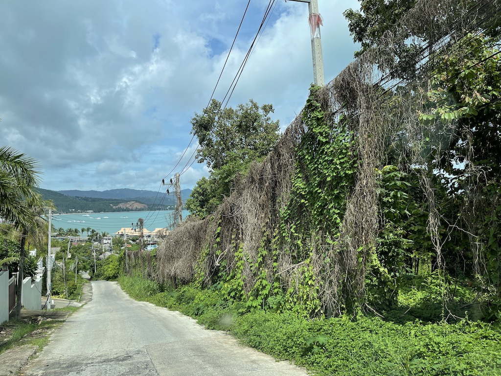 Road Beside The Land