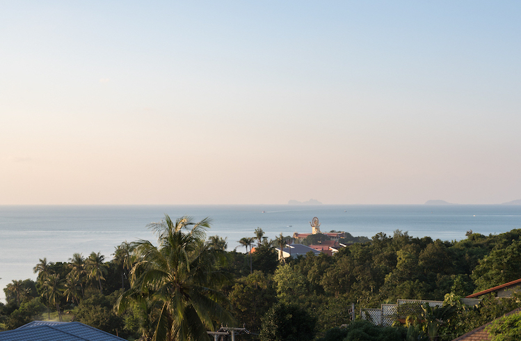 View To Big Buddha