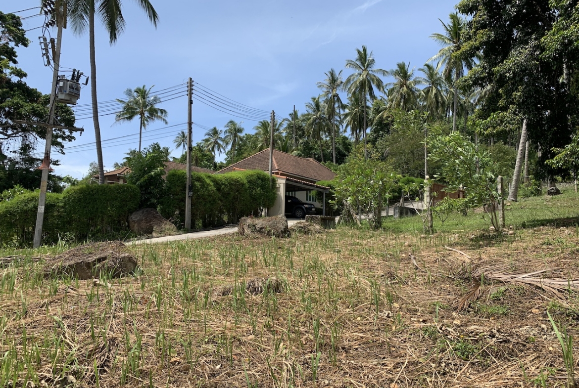 Koh Samui Plot