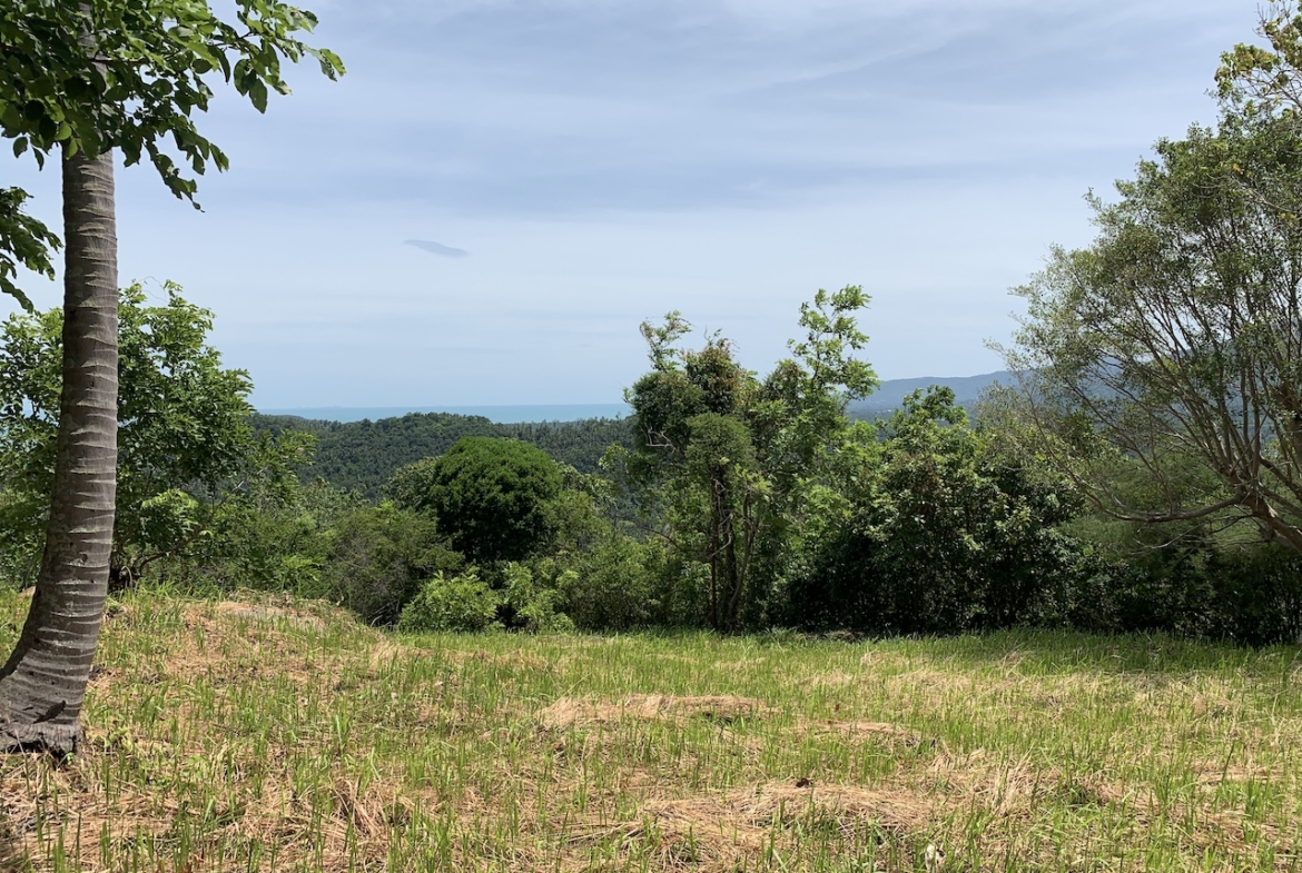 Sea View Land Flat Section
