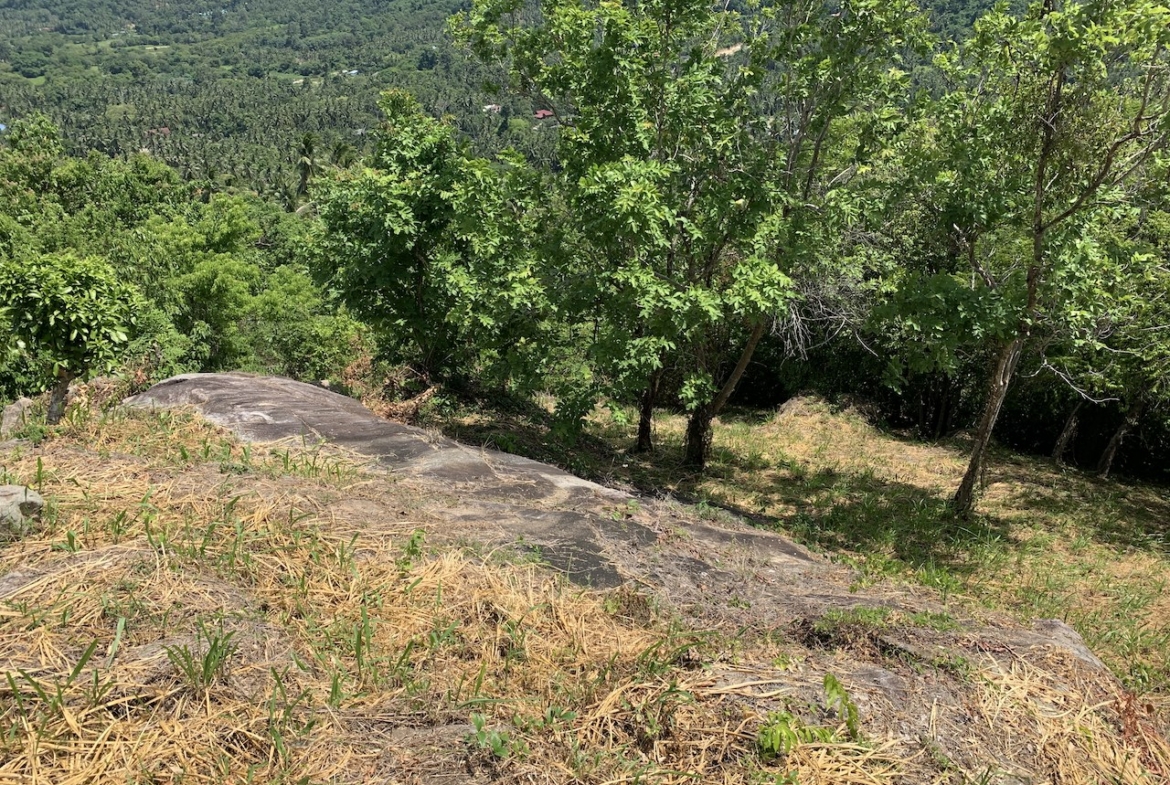 Land Plot Granite Rock Formations