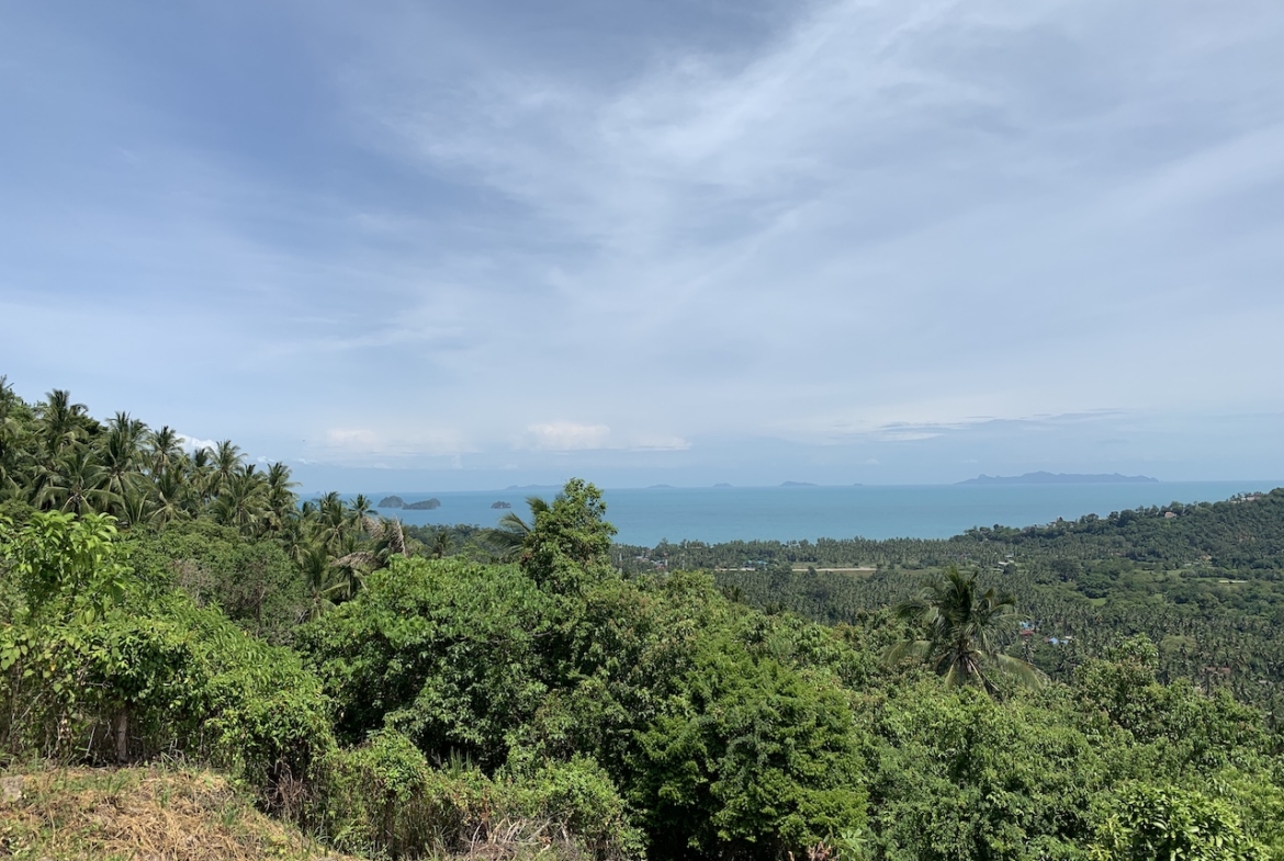 View To Five Islands