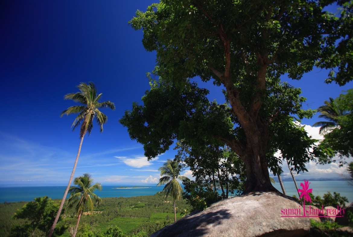 Superior Sea View Land Plots Ko Samui – Land in Koh Samui (photo 9)