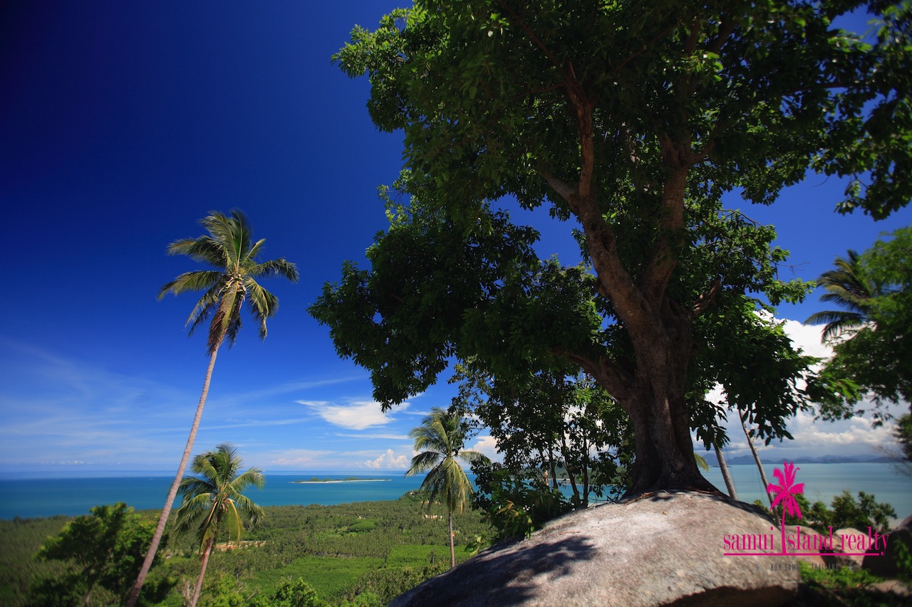 Superior Sea View Land Plots Ko Samui – image 9 Superior Sea View Land Plots Ko Samui – Land in Koh Samui (photo 9)