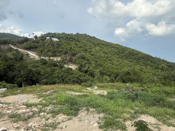 Taling Ngam Land Plots View