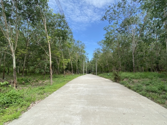 Tong Krut Land Plots For Sale Road