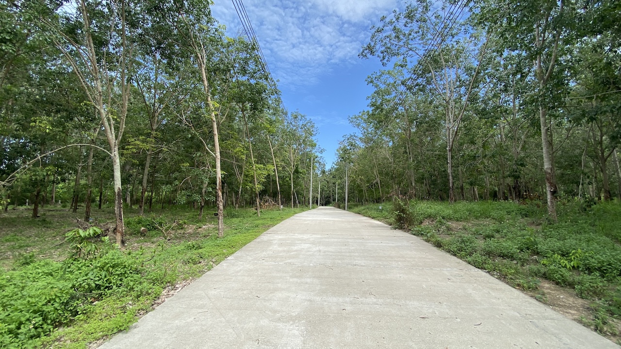 Tong Krut Land Plots For Sale Road