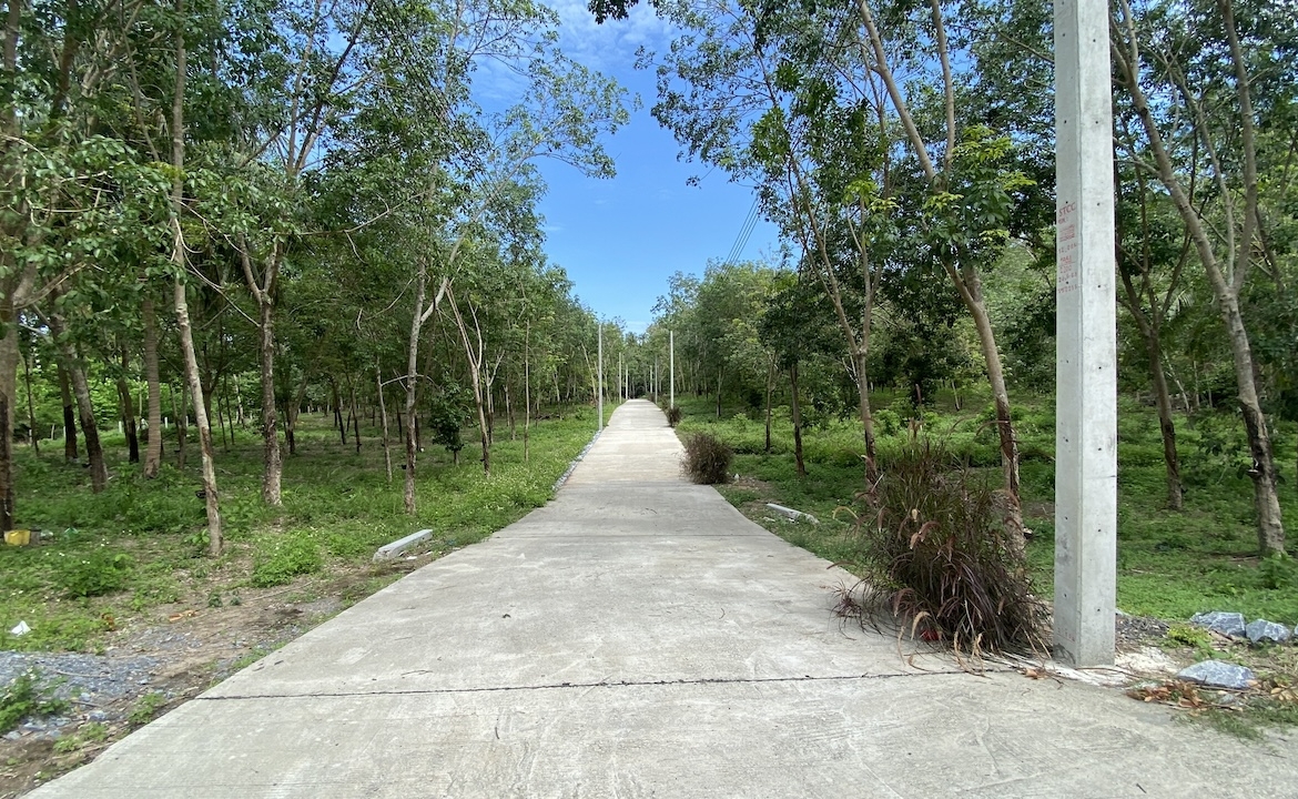 Tong Krut Land Plots For Sale Electric