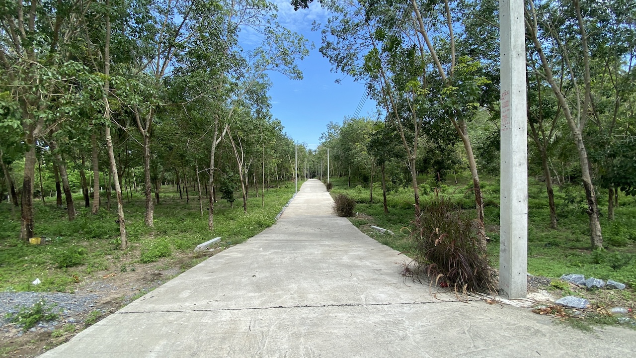 Tong Krut Land Plots For Sale Electric