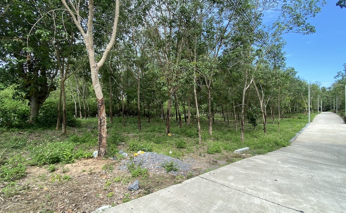 Tong Krut Land Plots For Sale
