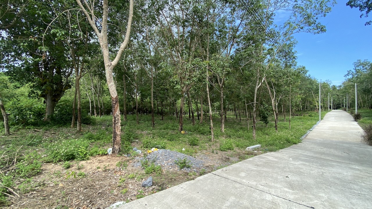 Tong Krut Land Plots For Sale