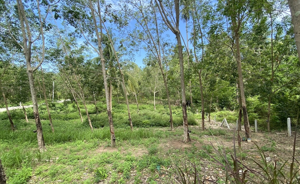 Tong Krut Land Plots For Sale