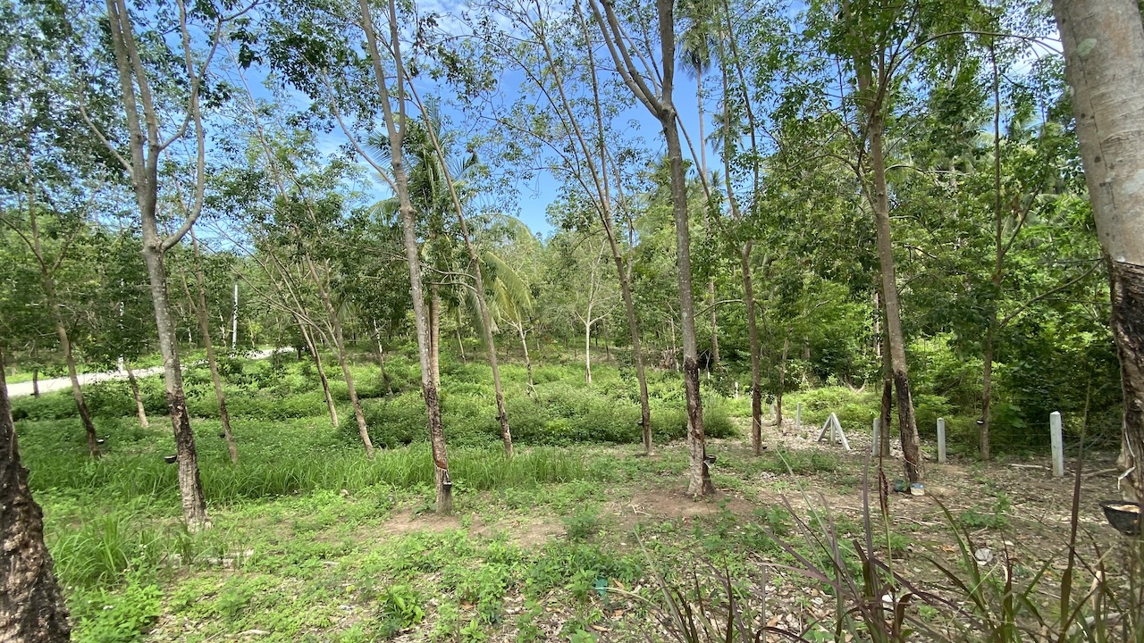 Tong Krut Land Plots For Sale
