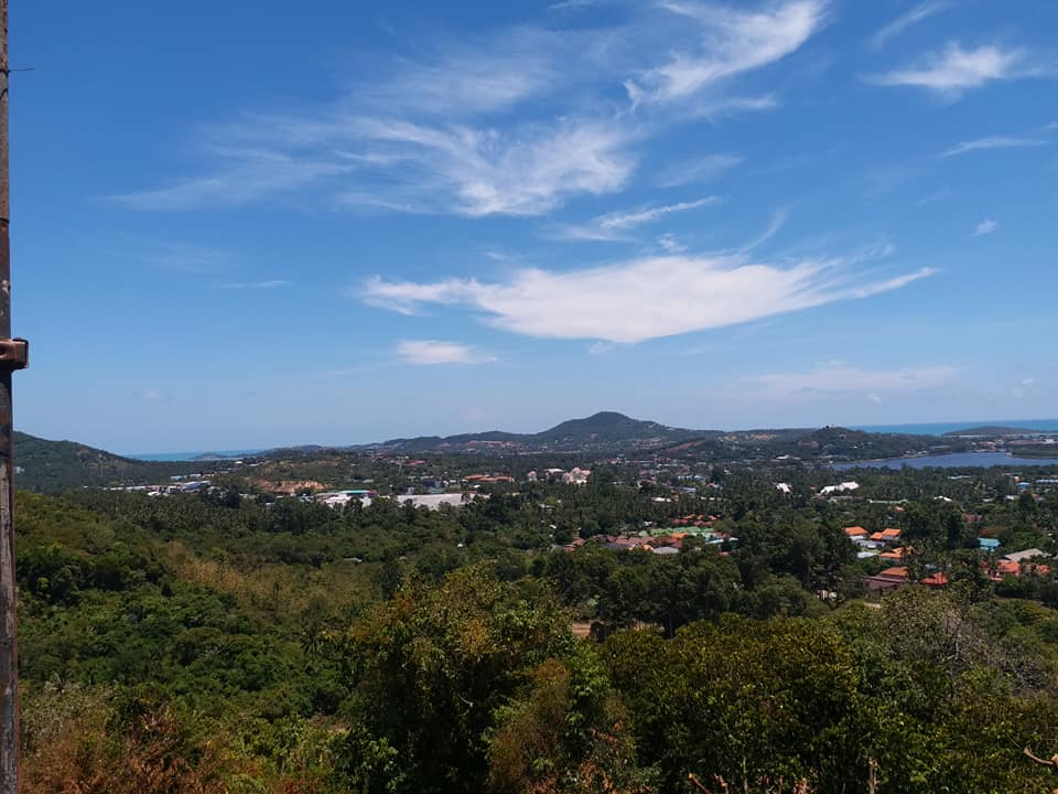 View NE