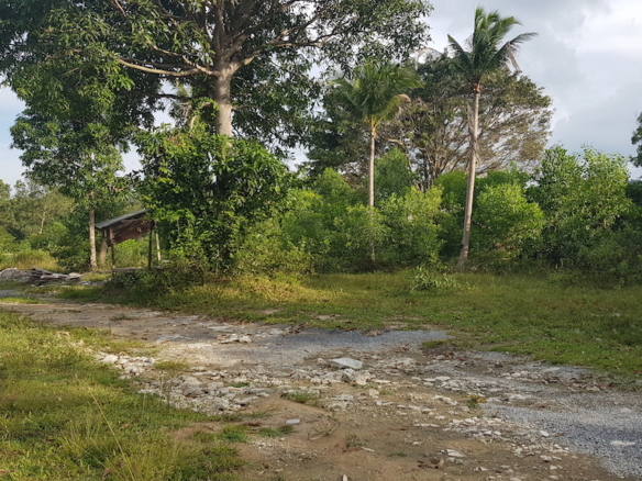 Tropical View Land Plot For Sale Namuang – Land in Koh Samui, Thailand