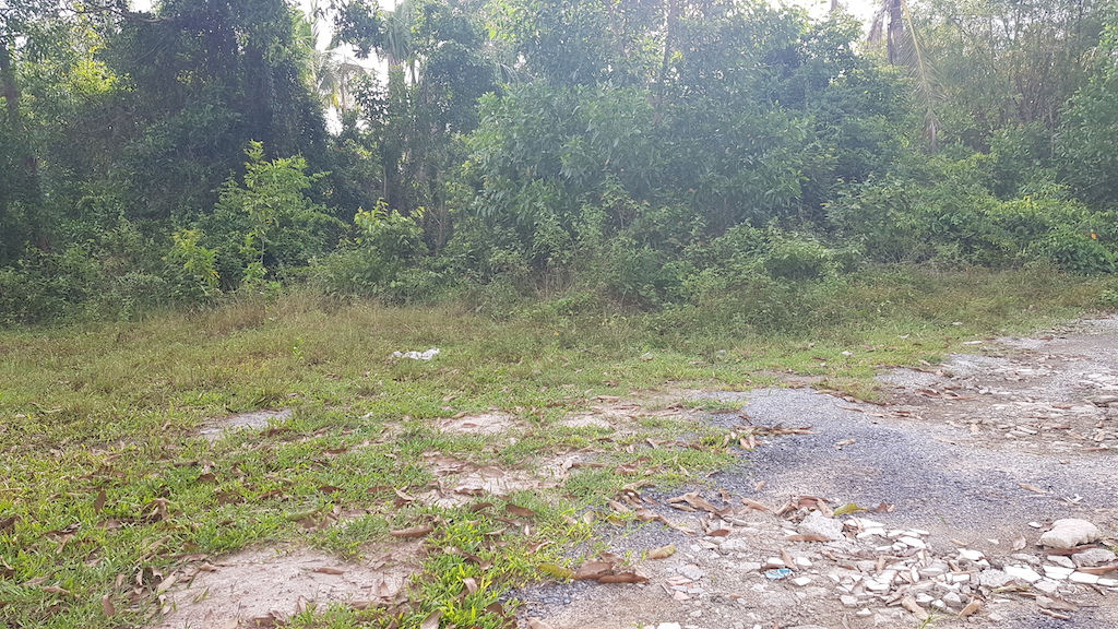 Tropical View Land Plot For Sale Namuang – Land in Koh Samui (photo 2)