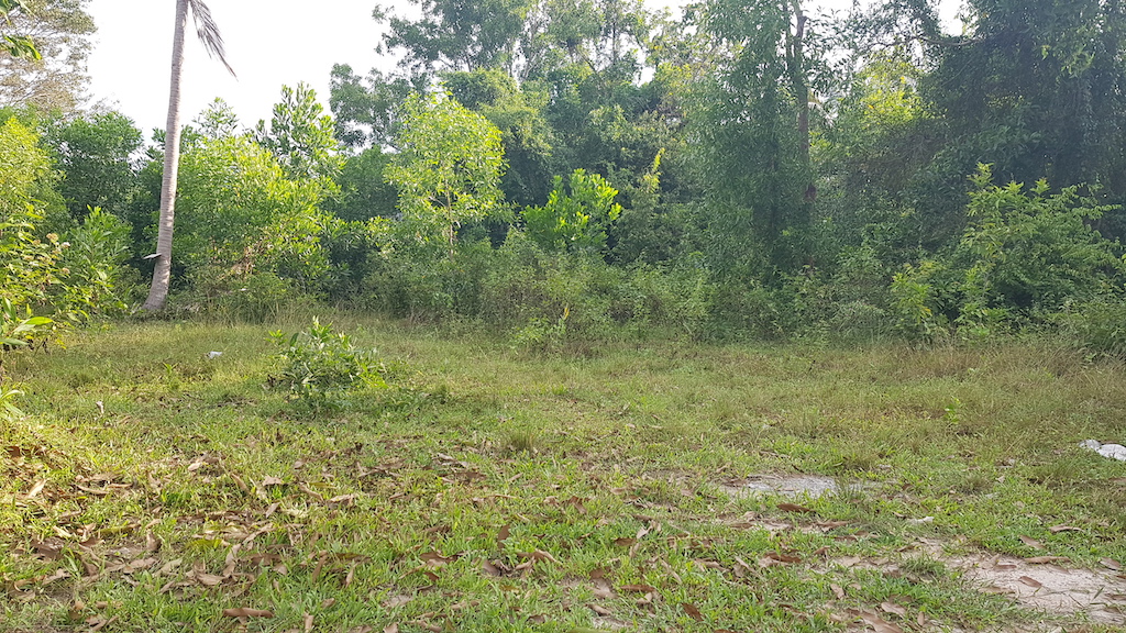 Tropical View Land Plot For Sale Namuang – Land in Koh Samui (photo 3)