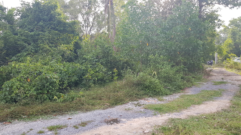 Tropical View Land Plot For Sale Namuang – Land in Koh Samui (photo 5)
