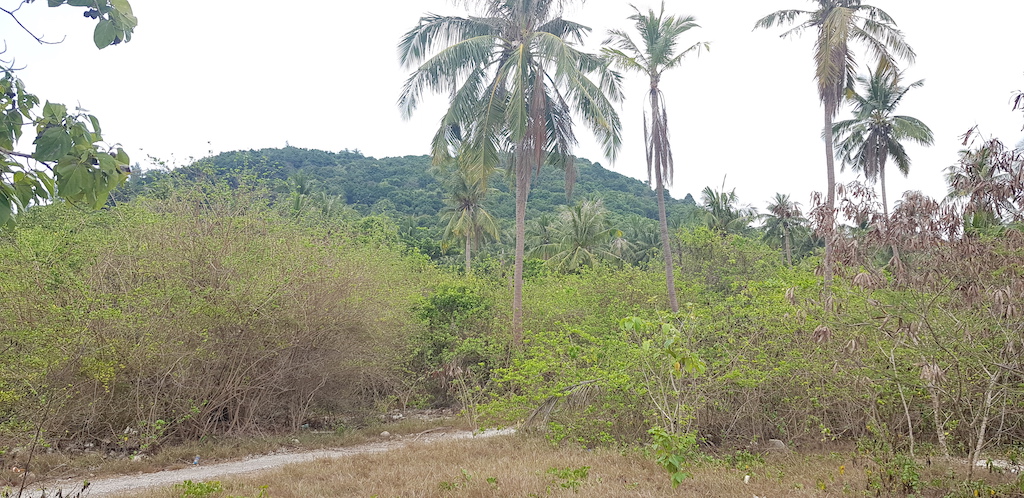 Unique Beachfront Land For Sale Flat Land