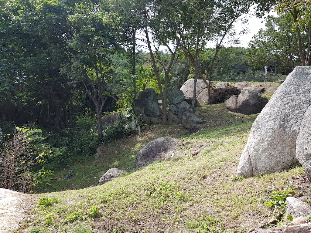 Unique Oceanfront Land For Sale Ko Samui – Land in Koh Samui (photo 5)