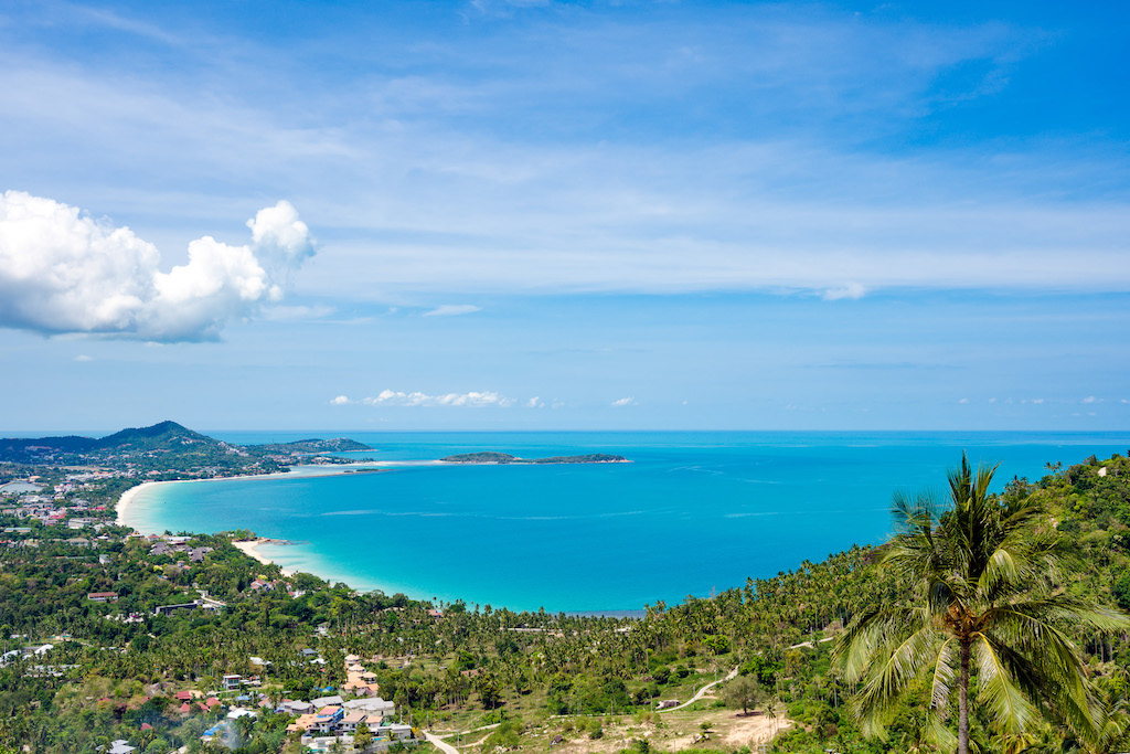 View