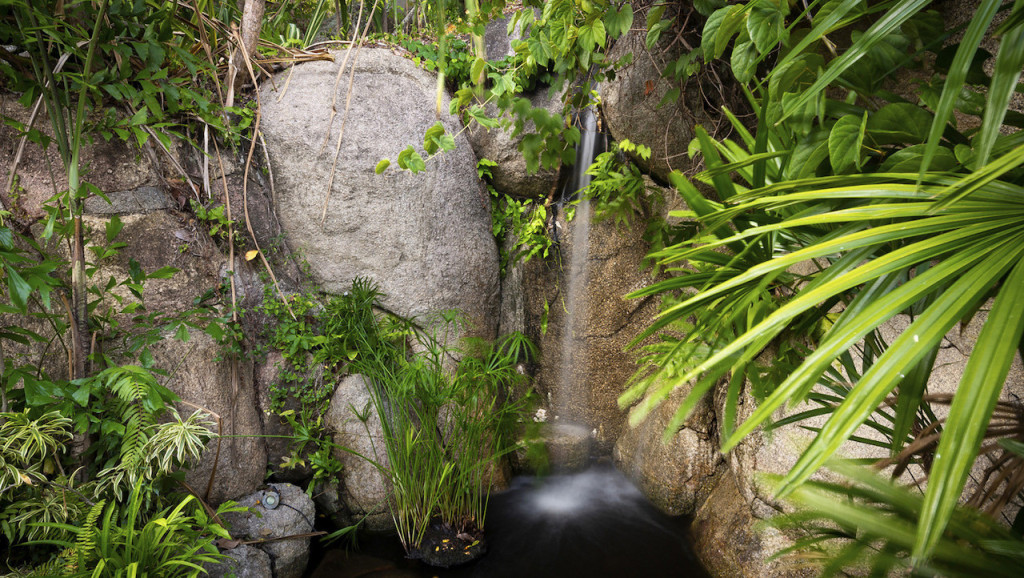 Waterfall