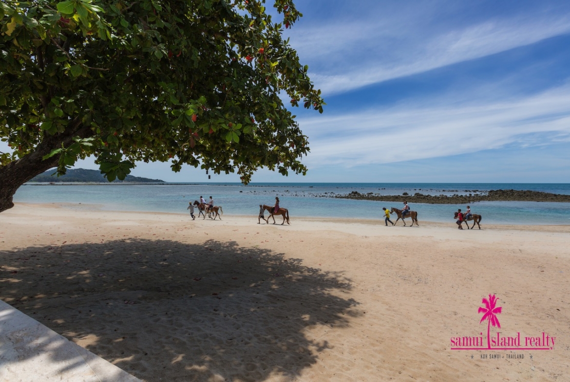 Villa Suma Beachfront Property Ko Samui – Residential All in Koh Samui (photo 7)