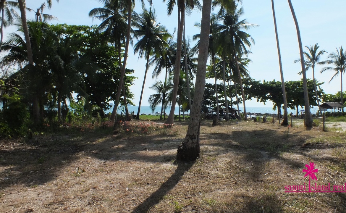 West Coast Beachfront Land Plot Samui – Land in Koh Samui (photo 1)