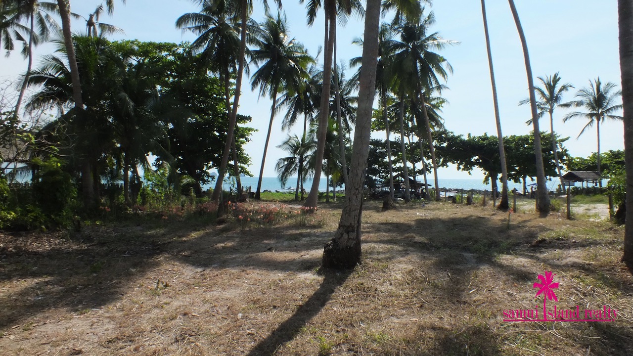 West Coast Beachfront Land Plot Samui – Land in Koh Samui (photo 1)