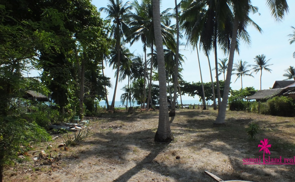 West Coast Beachfront Land Plot Samui – Land in Koh Samui (photo 2)