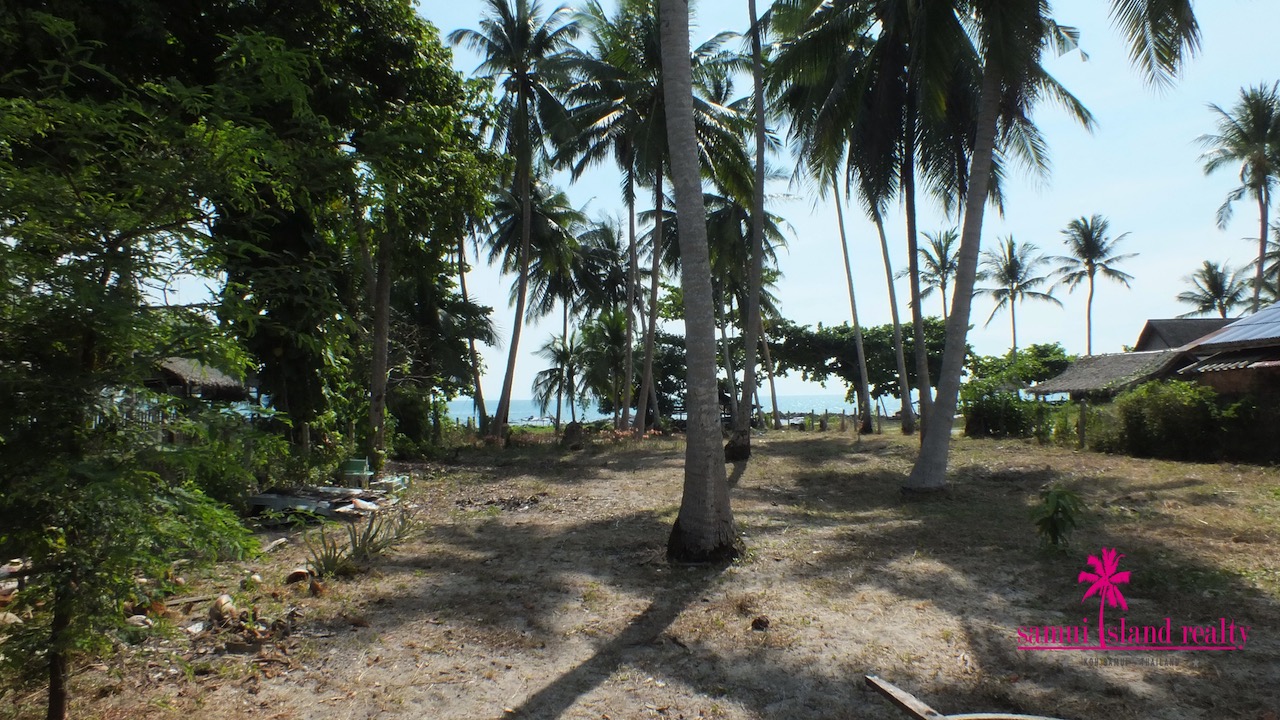 West Coast Beachfront Land Plot Samui – Land in Koh Samui (photo 2)