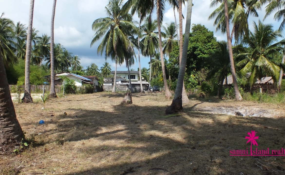 West Coast Beachfront Land Plot Samui – Land in Koh Samui (photo 5)