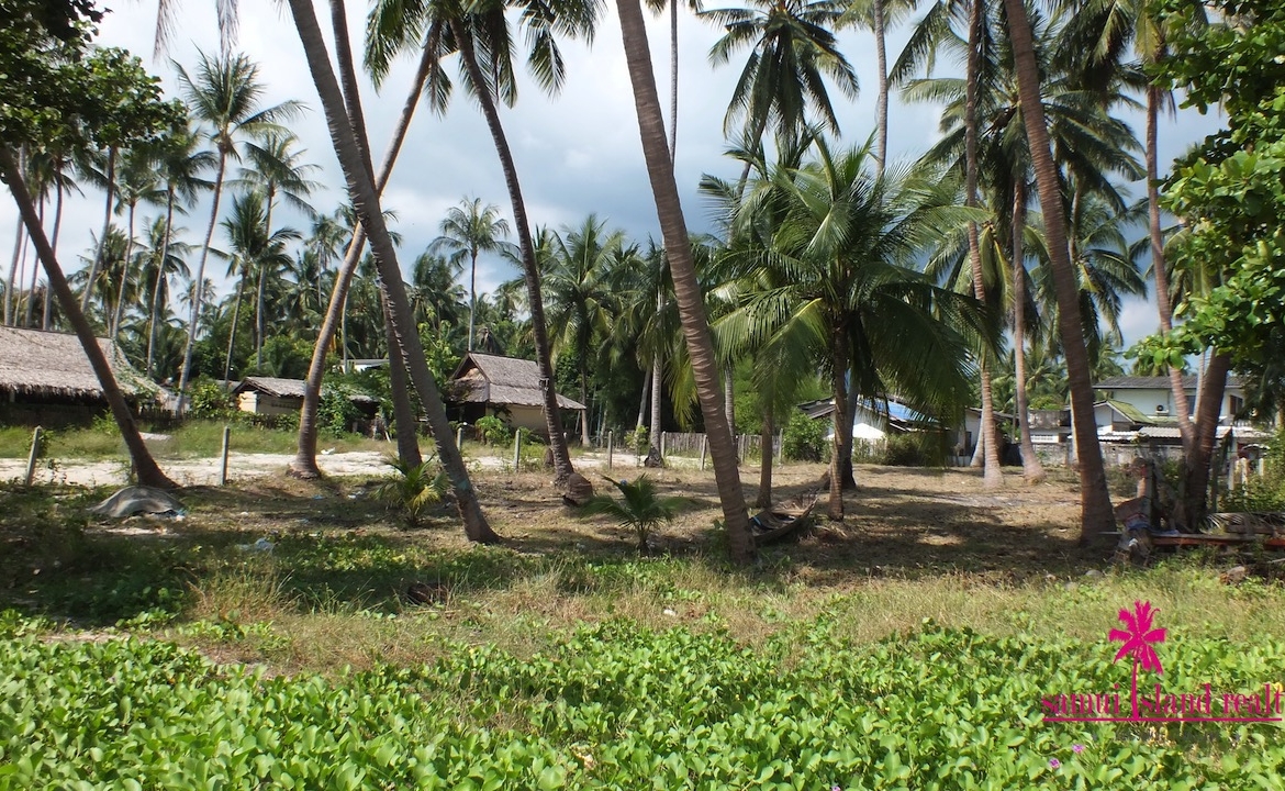 West Coast Beachfront Land Plot Samui – Land in Koh Samui (photo 7)