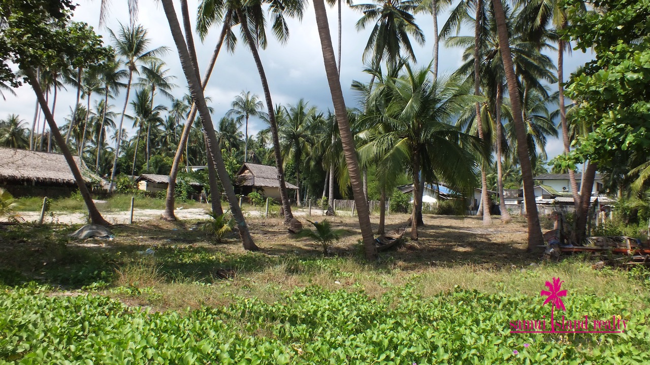 West Coast Beachfront Land Plot Samui – Land in Koh Samui (photo 7)