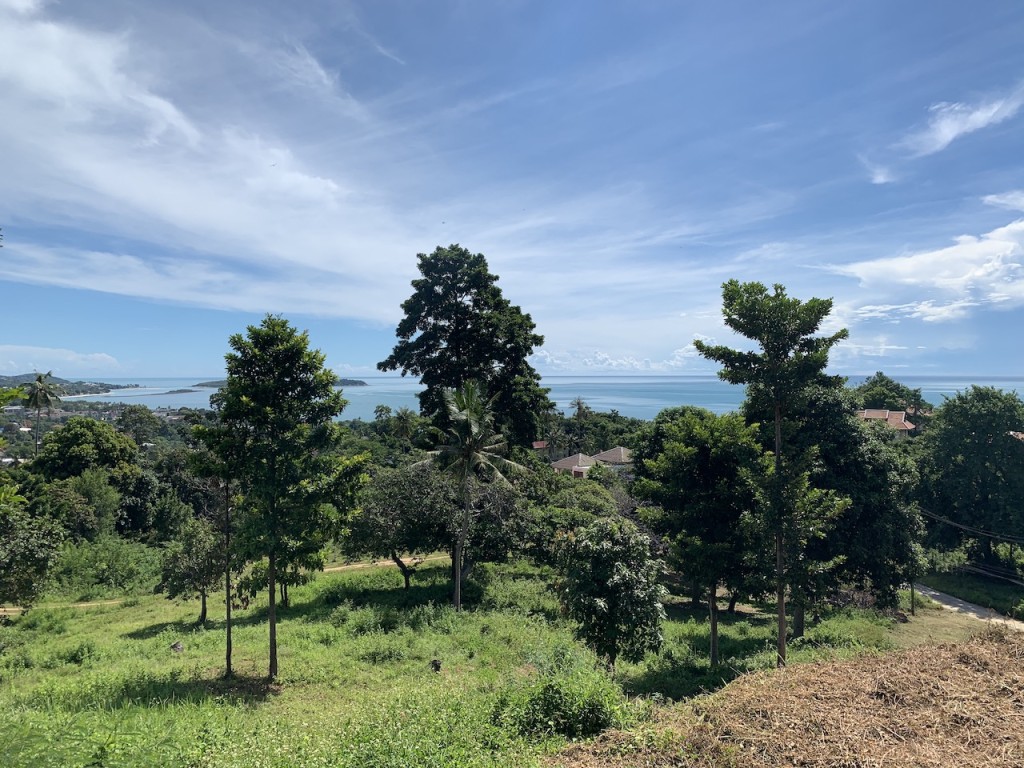 View to the East