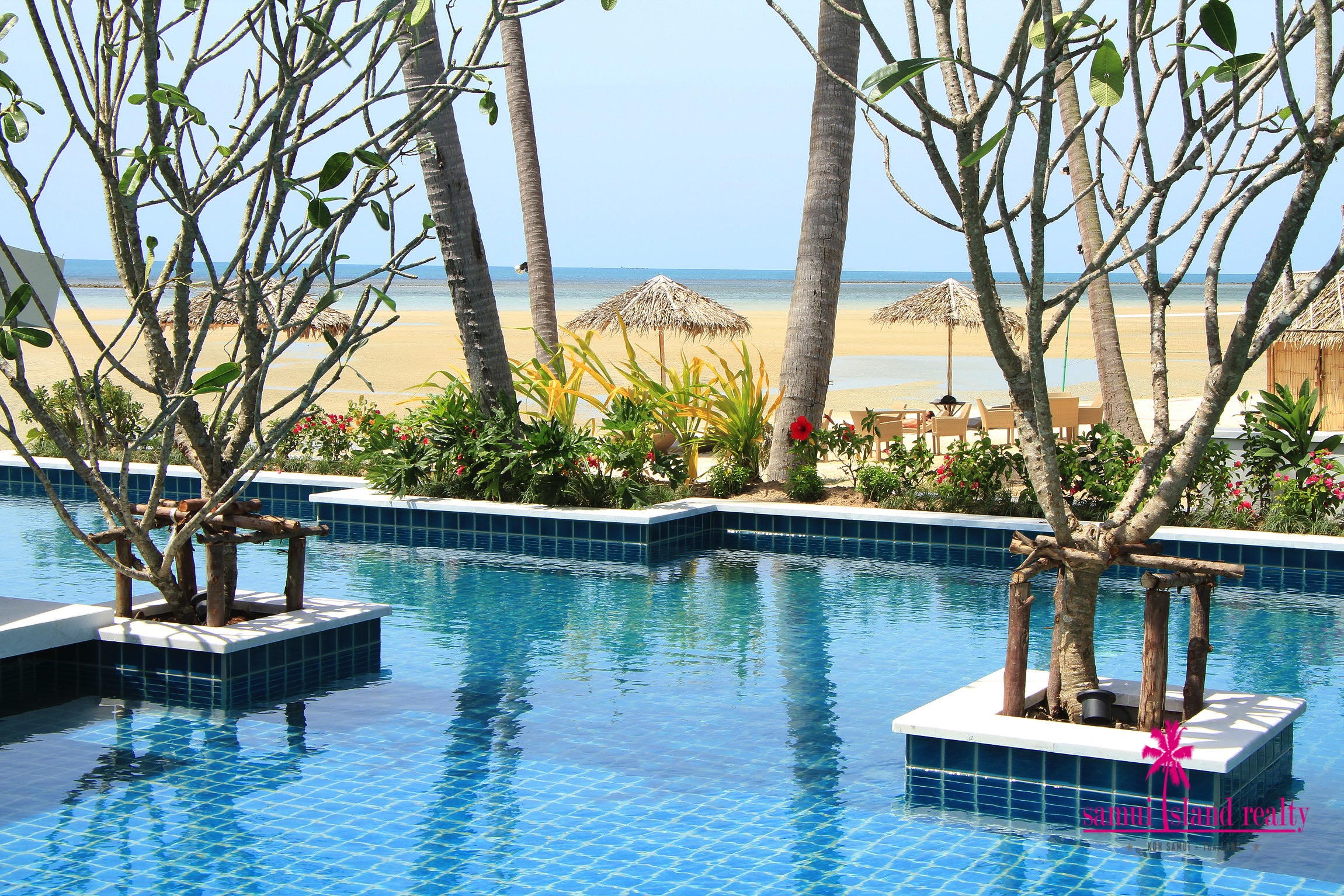 Baan Paradise Beach Villa For Sale Koh Samui – Residential All in Koh Samui (photo 2)