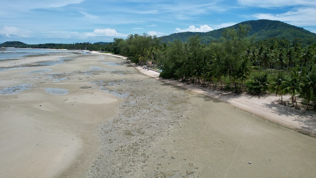 Beachfront Land In Koh Samui Coastline