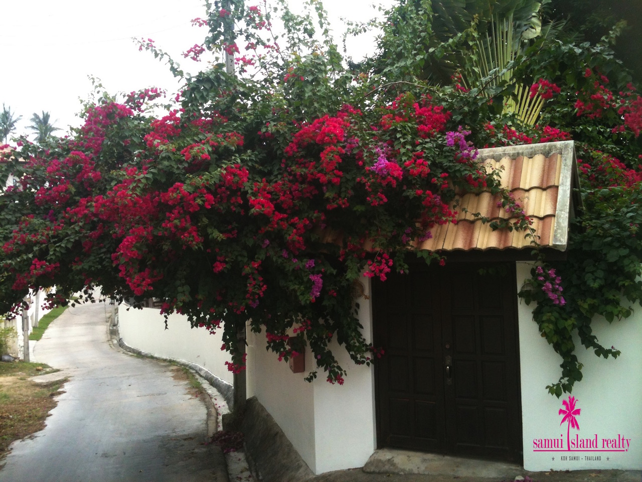 Chaweng Noi Hillside Villa For Sale – image 13 Chaweng Noi Hillside Villa For Sale – Residential All in Koh Samui (photo 13)