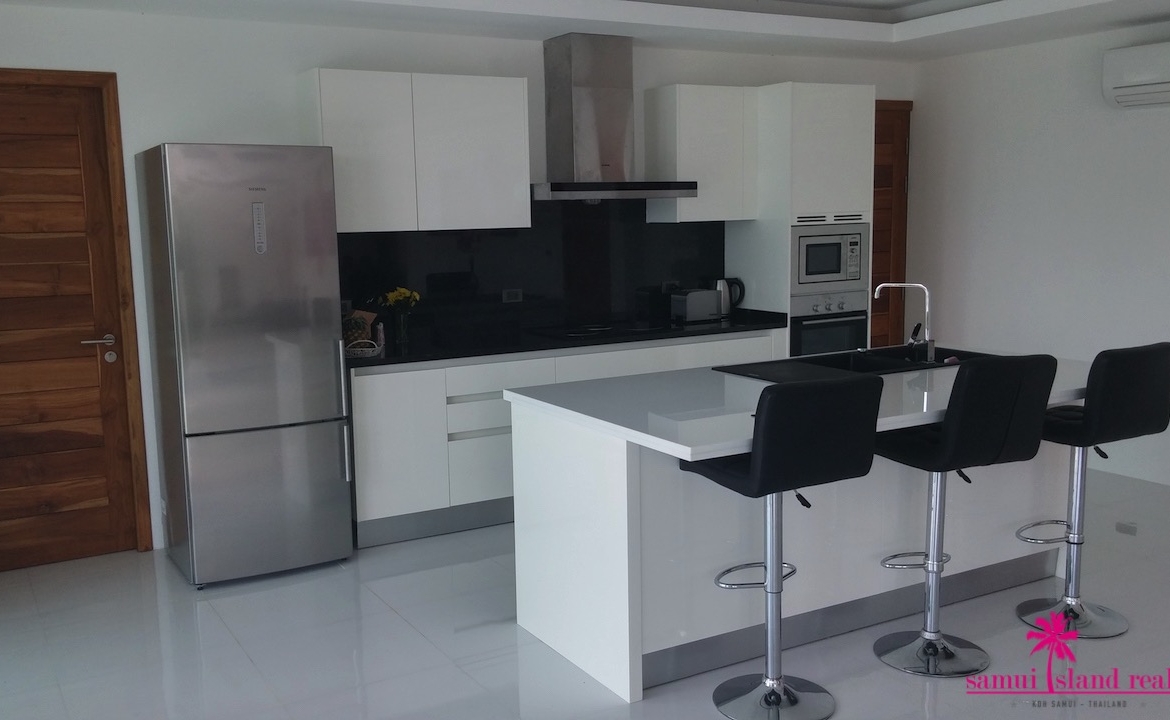 Fully Equipped Western Kitchen