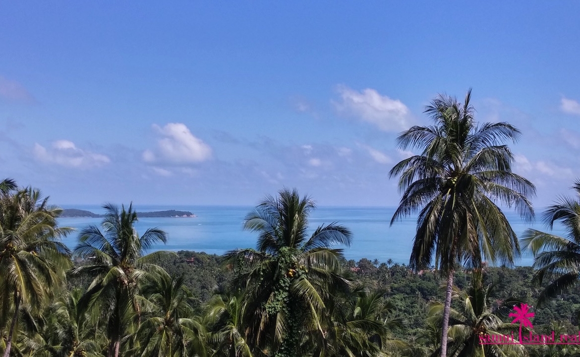 View From The Terrace