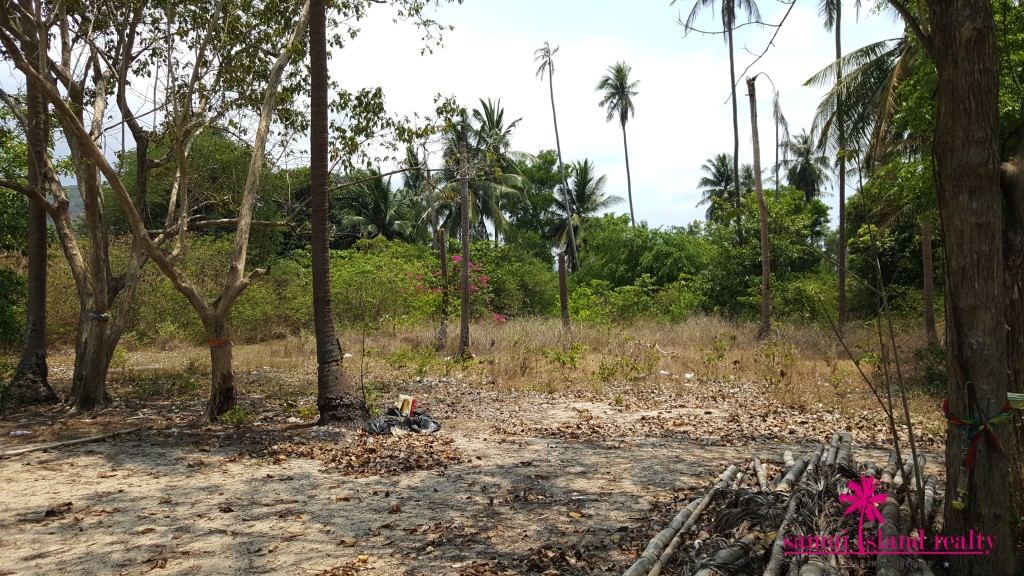 Koh Samui Beachfront Land For Sale View Inside