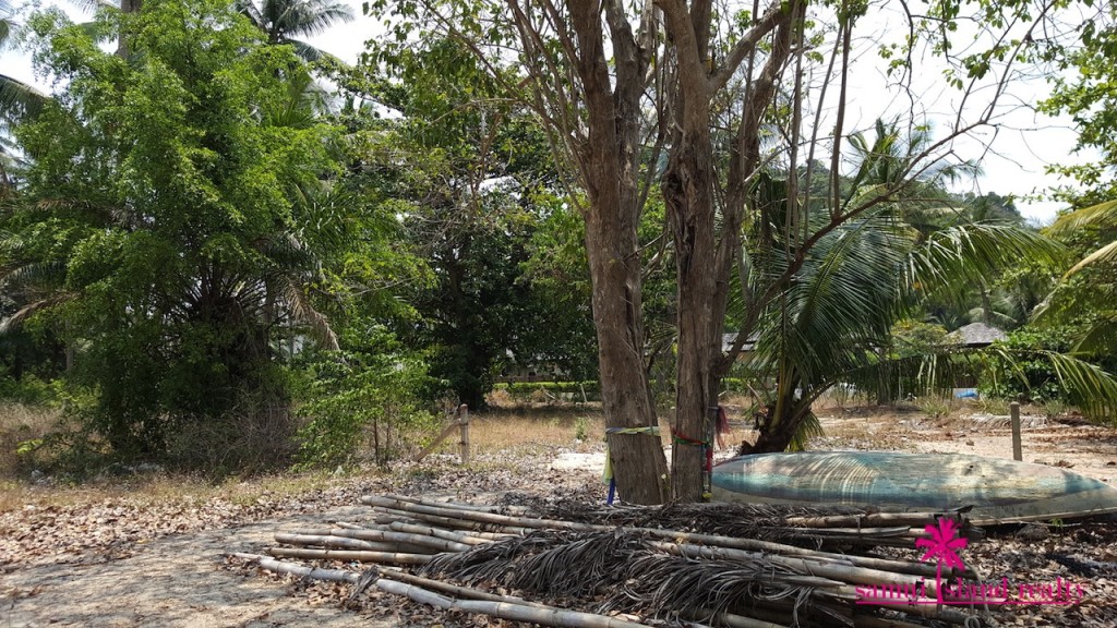 Koh Samui Beachfront Land For Sale Inside The Land
