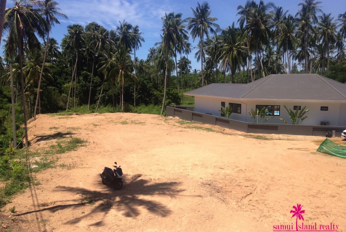 View To The Coconut Plantations