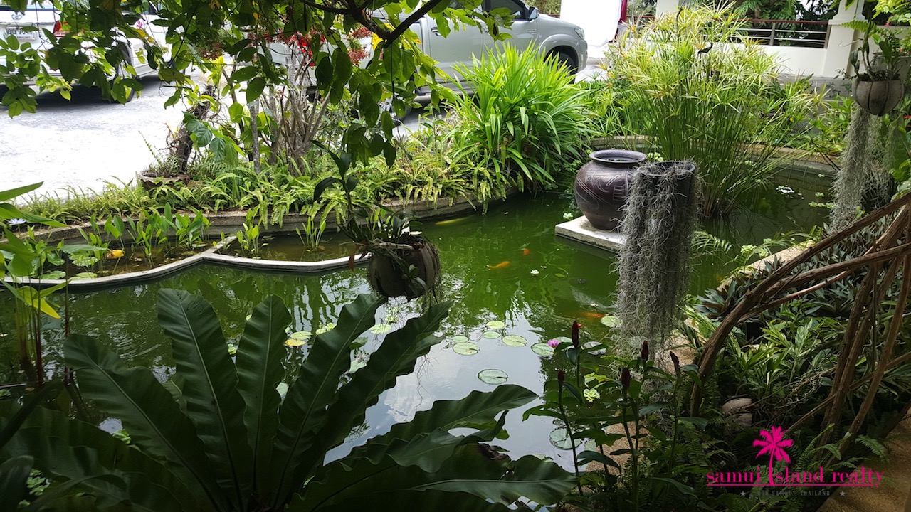 Koh Samui Sunset Villa For Sale Fish Pond